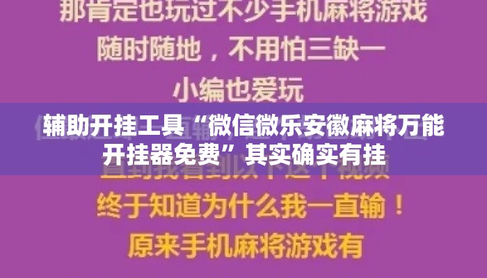 辅助开挂工具“微信微乐安徽麻将万能开挂器免费	”其实确实有挂
