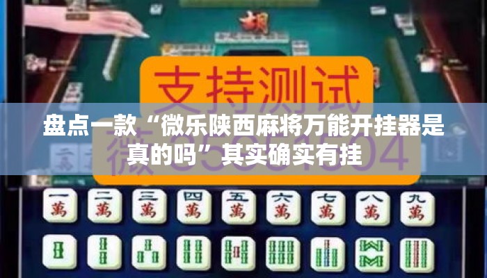 盘点一款“微乐陕西麻将万能开挂器是真的吗	”其实确实有挂