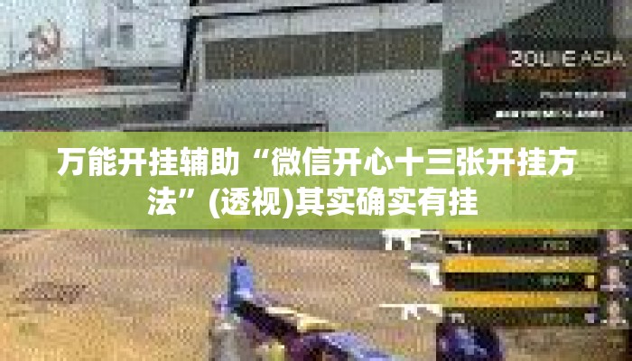 万能开挂辅助“微信开心十三张开挂方法”(透视)其实确实有挂 