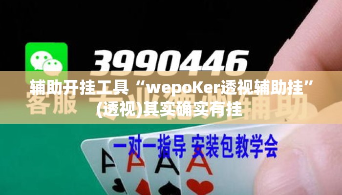 辅助开挂工具“wepoKer透视辅助挂”(透视)其实确实有挂 
