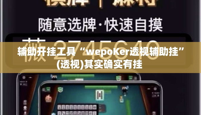 辅助开挂工具“wepoKer透视辅助挂”(透视)其实确实有挂 