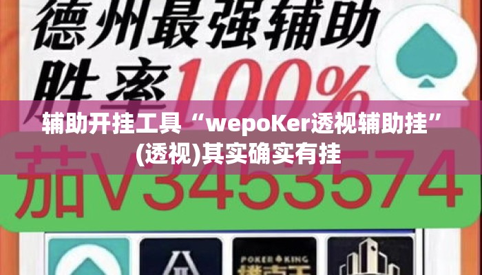 辅助开挂工具“wepoKer透视辅助挂”(透视)其实确实有挂 