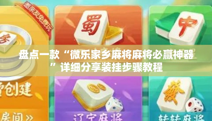 盘点一款“微乐家乡麻将麻将必赢神器”详细分享装挂步骤教程