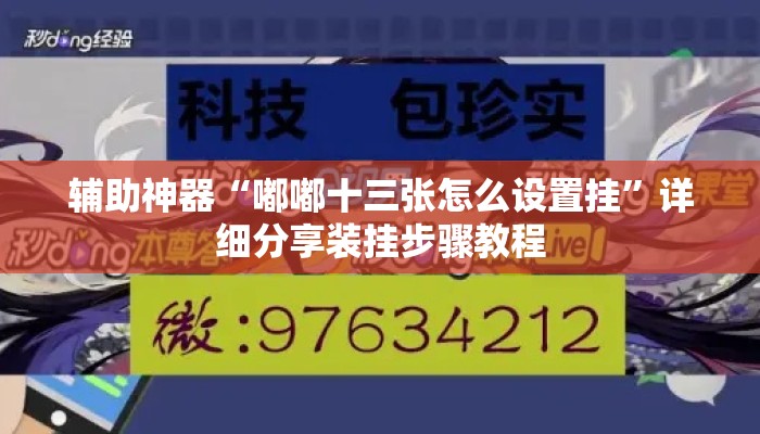 辅助神器“嘟嘟十三张怎么设置挂	”详细分享装挂步骤教程