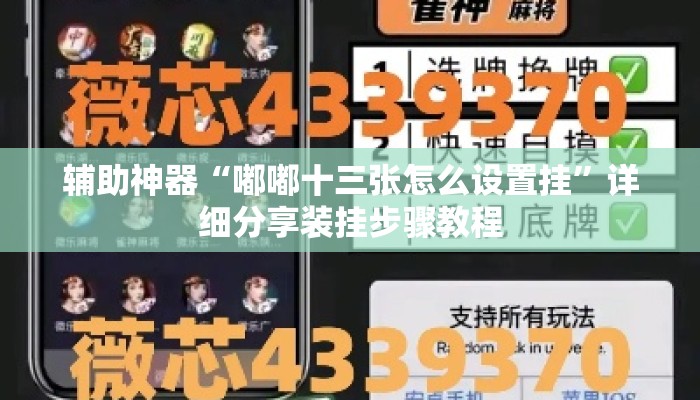 辅助神器“嘟嘟十三张怎么设置挂”详细分享装挂步骤教程