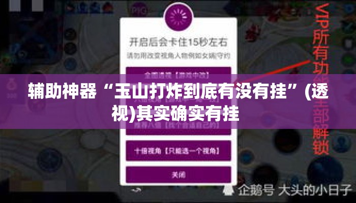 辅助神器“玉山打炸到底有没有挂	”(透视)其实确实有挂 