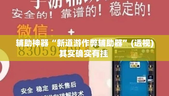 辅助神器“新道游作弊辅助器”(透视)其实确实有挂 