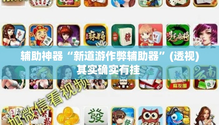 辅助神器“新道游作弊辅助器”(透视)其实确实有挂 