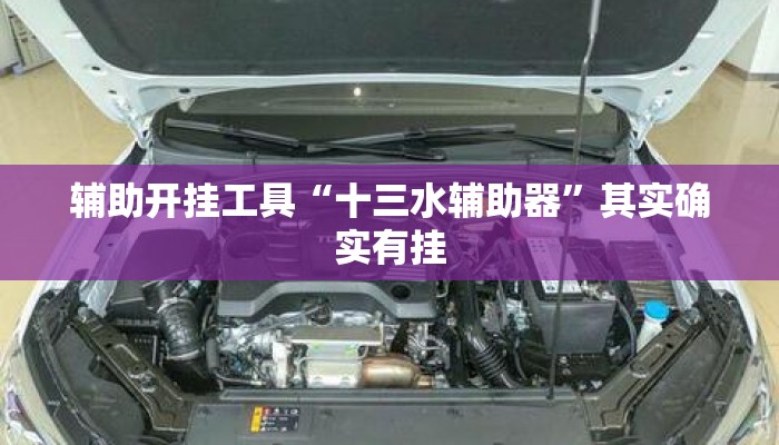 辅助开挂工具“十三水辅助器	”其实确实有挂