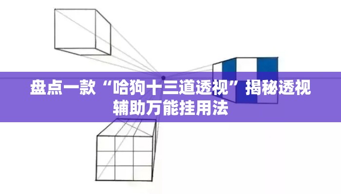 盘点一款“哈狗十三道透视	”揭秘透视辅助万能挂用法
