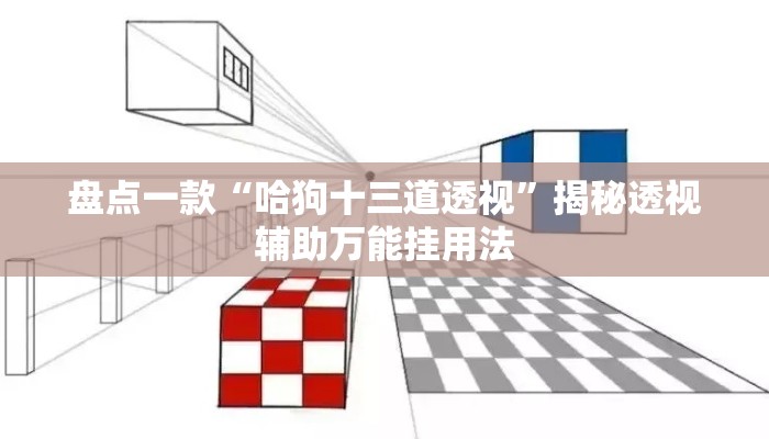 盘点一款“哈狗十三道透视	”揭秘透视辅助万能挂用法