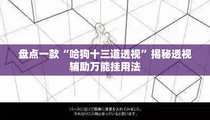 盘点一款“哈狗十三道透视”揭秘透视辅助万能挂用法