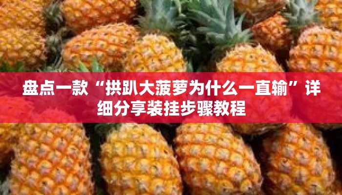 盘点一款“拱趴大菠萝为什么一直输”详细分享装挂步骤教程