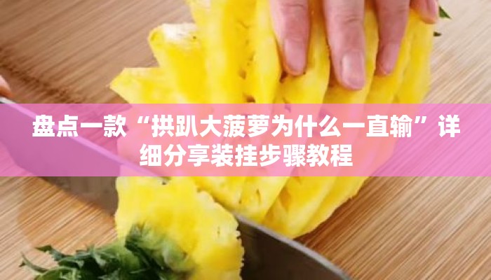 盘点一款“拱趴大菠萝为什么一直输”详细分享装挂步骤教程