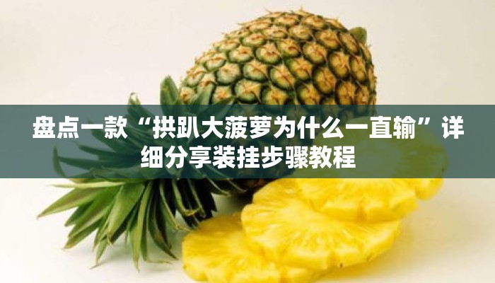 盘点一款“拱趴大菠萝为什么一直输”详细分享装挂步骤教程