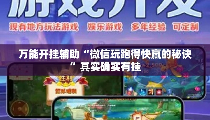 万能开挂辅助“微信玩跑得快赢的秘诀	”其实确实有挂