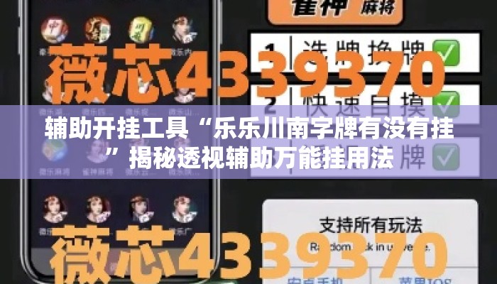 辅助开挂工具“乐乐川南字牌有没有挂”揭秘透视辅助万能挂用法