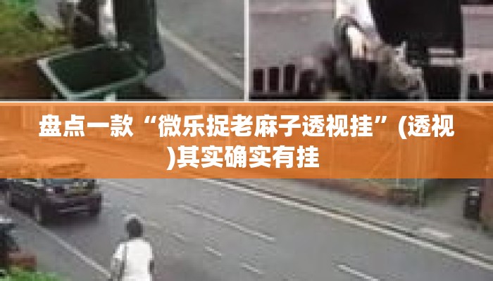 盘点一款“微乐捉老麻子透视挂”(透视)其实确实有挂 