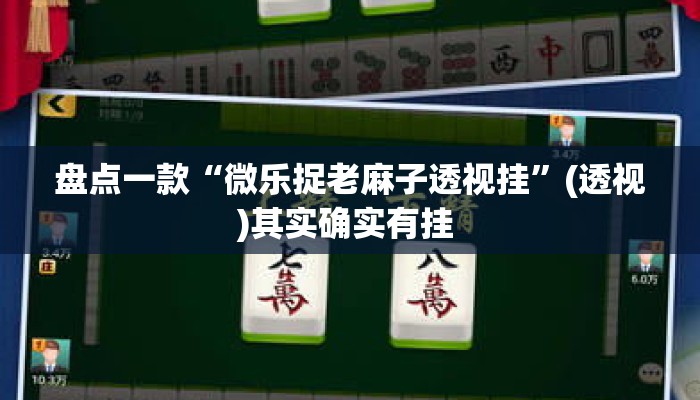 盘点一款“微乐捉老麻子透视挂”(透视)其实确实有挂 