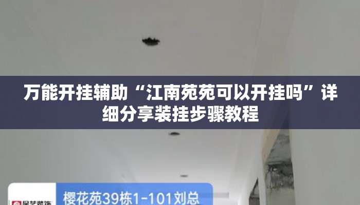万能开挂辅助“江南苑苑可以开挂吗”详细分享装挂步骤教程