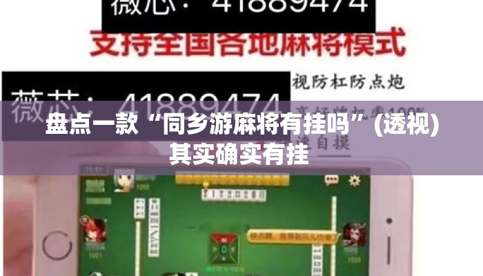 盘点一款“同乡游麻将有挂吗”(透视)其实确实有挂 