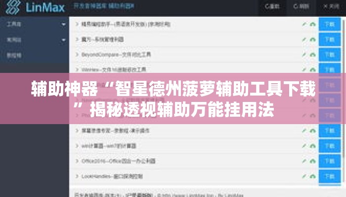 辅助神器“智星德州菠萝辅助工具下载”揭秘透视辅助万能挂用法
