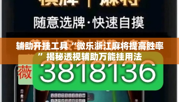 辅助开挂工具“微乐浙江麻将提高胜率”揭秘透视辅助万能挂用法