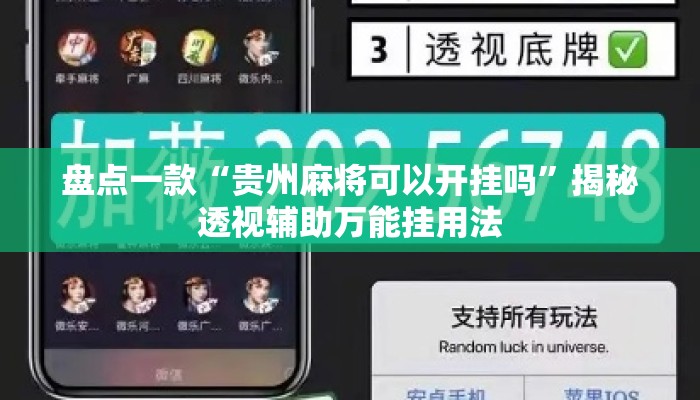 盘点一款“贵州麻将可以开挂吗	”揭秘透视辅助万能挂用法