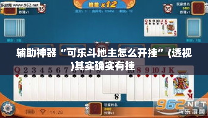辅助神器“可乐斗地主怎么开挂”(透视)其实确实有挂 