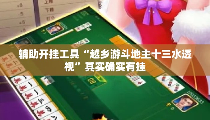 辅助开挂工具“越乡游斗地主十三水透视	”其实确实有挂