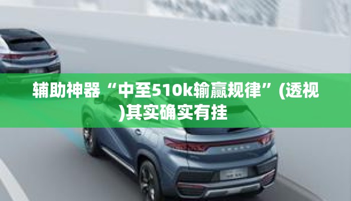 辅助神器“中至510k输赢规律”(透视)其实确实有挂 