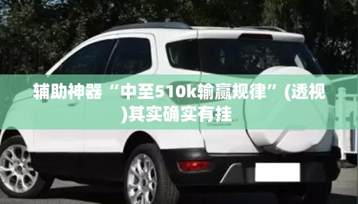 辅助神器“中至510k输赢规律”(透视)其实确实有挂 