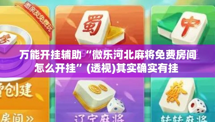 万能开挂辅助“微乐河北麻将免费房间怎么开挂”(透视)其实确实有挂 