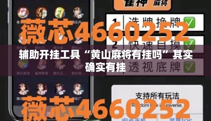 辅助开挂工具“黄山麻将有挂吗”其实确实有挂