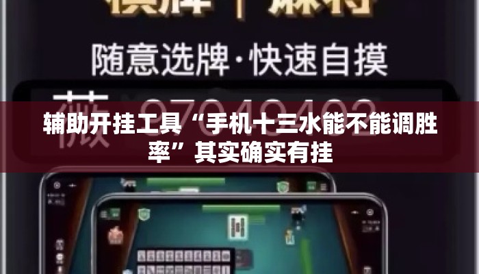 辅助开挂工具“手机十三水能不能调胜率	”其实确实有挂