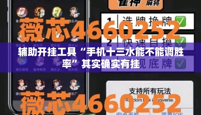 辅助开挂工具“手机十三水能不能调胜率”其实确实有挂