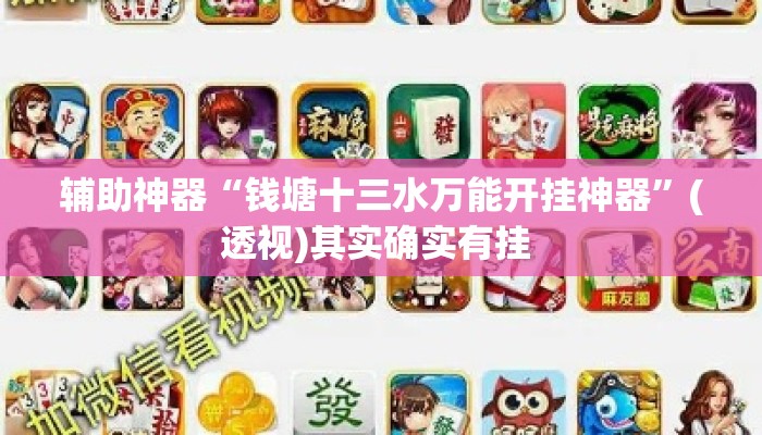 辅助神器“钱塘十三水万能开挂神器”(透视)其实确实有挂 