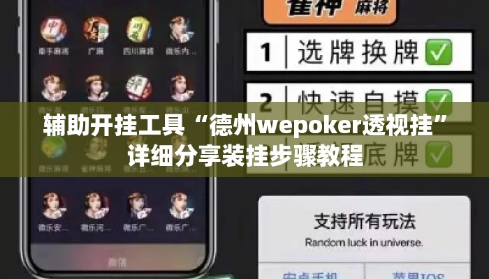 辅助开挂工具“德州wepoker透视挂”详细分享装挂步骤教程