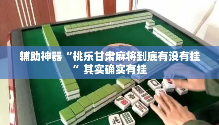 辅助神器“桃乐甘肃麻将到底有没有挂	”其实确实有挂