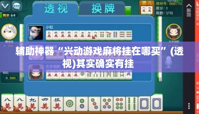 辅助神器“兴动游戏麻将挂在哪买	”(透视)其实确实有挂 