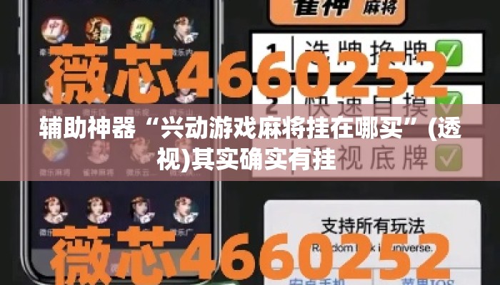 辅助神器“兴动游戏麻将挂在哪买	”(透视)其实确实有挂 