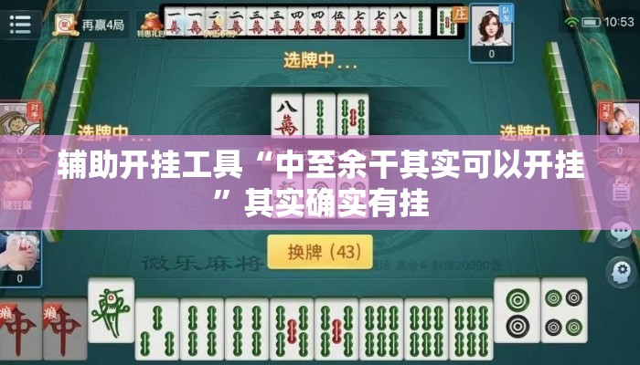 辅助开挂工具“中至余干其实可以开挂”其实确实有挂