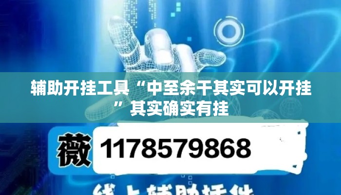辅助开挂工具“中至余干其实可以开挂”其实确实有挂