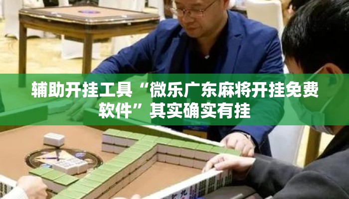 辅助开挂工具“微乐广东麻将开挂免费软件”其实确实有挂