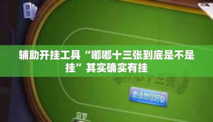 辅助开挂工具“嘟嘟十三张到底是不是挂	”其实确实有挂