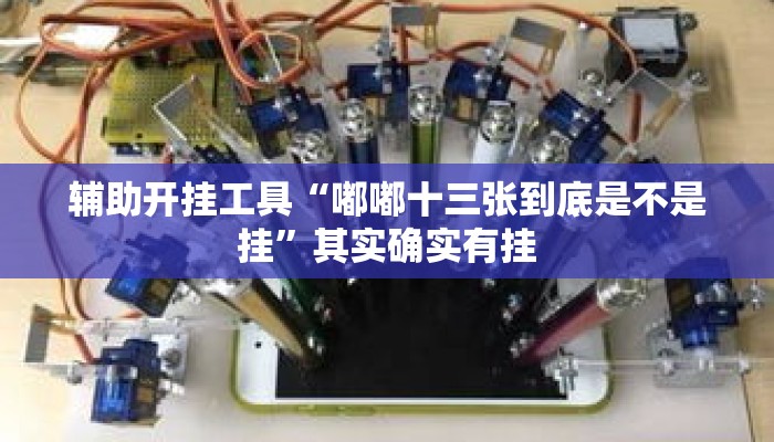 辅助开挂工具“嘟嘟十三张到底是不是挂”其实确实有挂