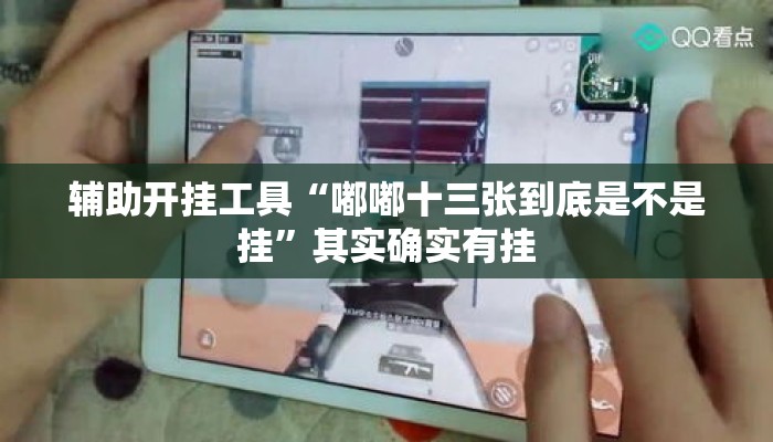 辅助开挂工具“嘟嘟十三张到底是不是挂	”其实确实有挂