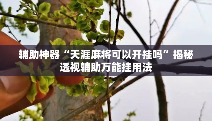 辅助神器“天涯麻将可以开挂吗”揭秘透视辅助万能挂用法