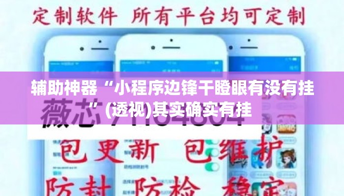 辅助神器“小程序边锋干瞪眼有没有挂”(透视)其实确实有挂 