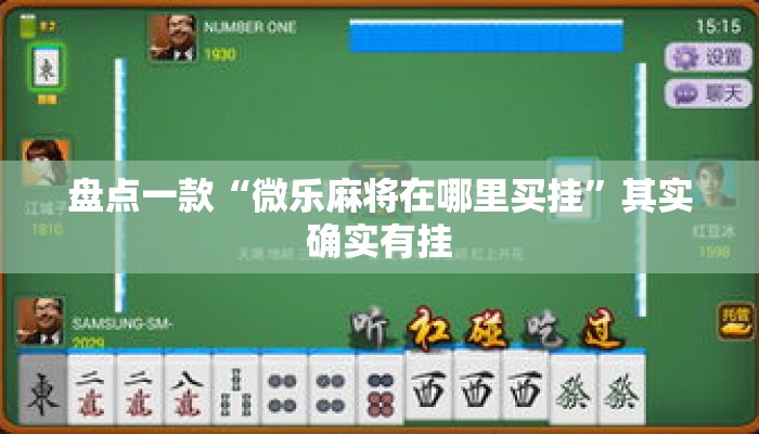盘点一款“微乐麻将在哪里买挂”其实确实有挂